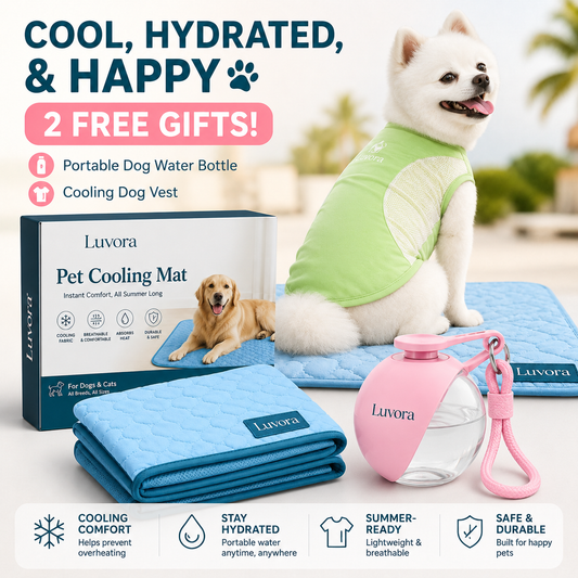 PawChill - Anti-Overheating Pet Pad