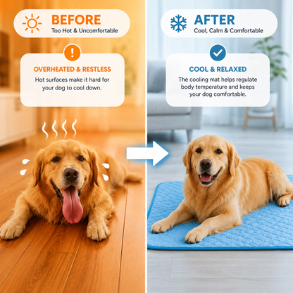 PawChill - Anti-Overheating Pet Pad