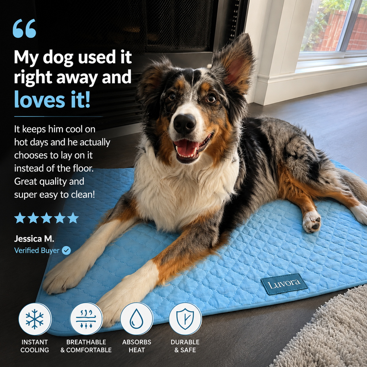 PawChill - Anti-Overheating Pet Pad