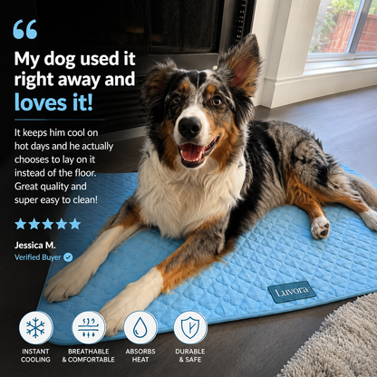 PawChill - Anti-Overheating Pet Pad