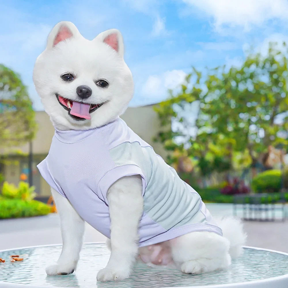 Dog Cooling Vest