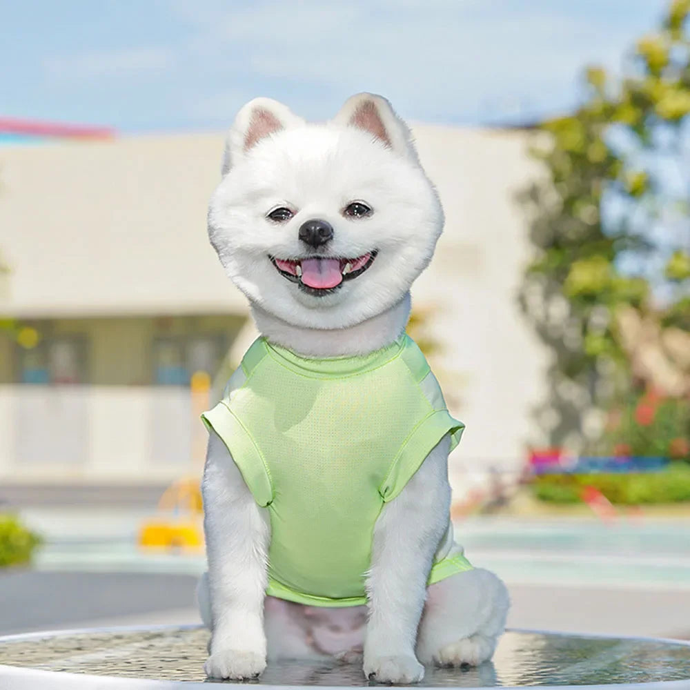 Dog Cooling Vest