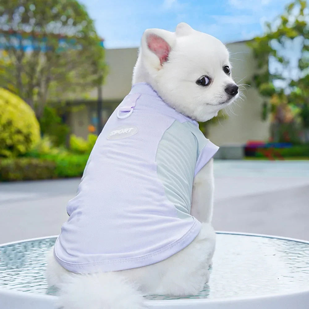 Dog Cooling Vest