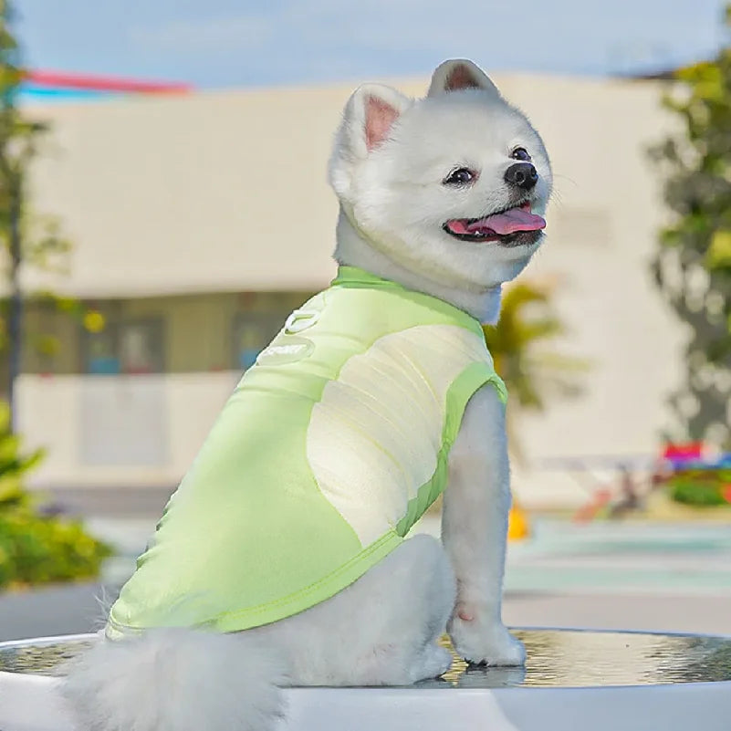 Dog Cooling Vest