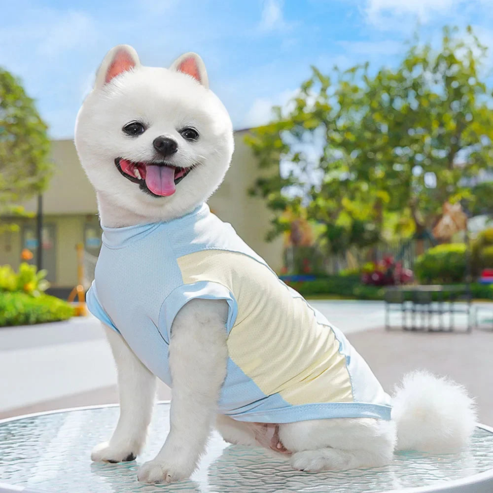 Dog Cooling Vest