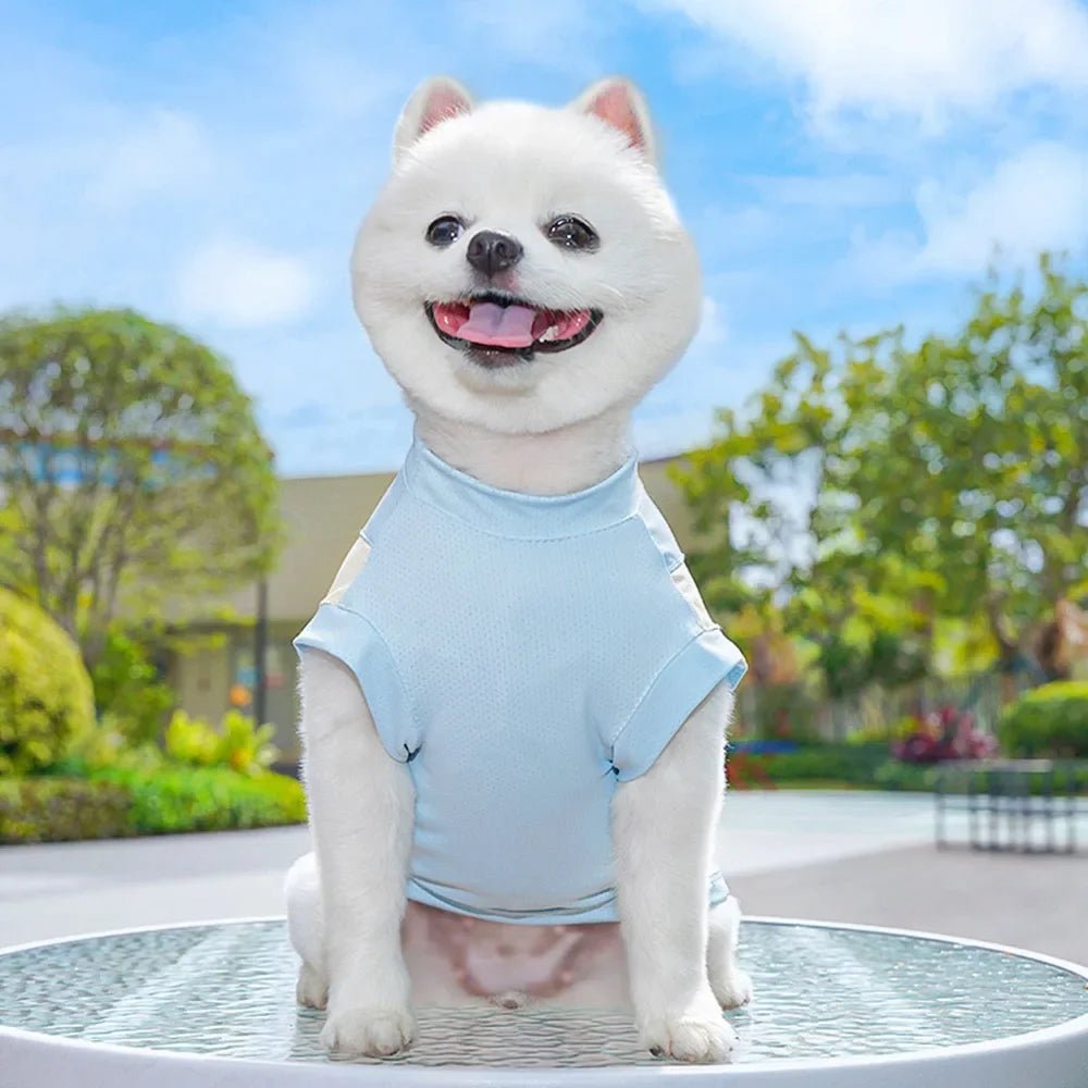 Dog Cooling Vest