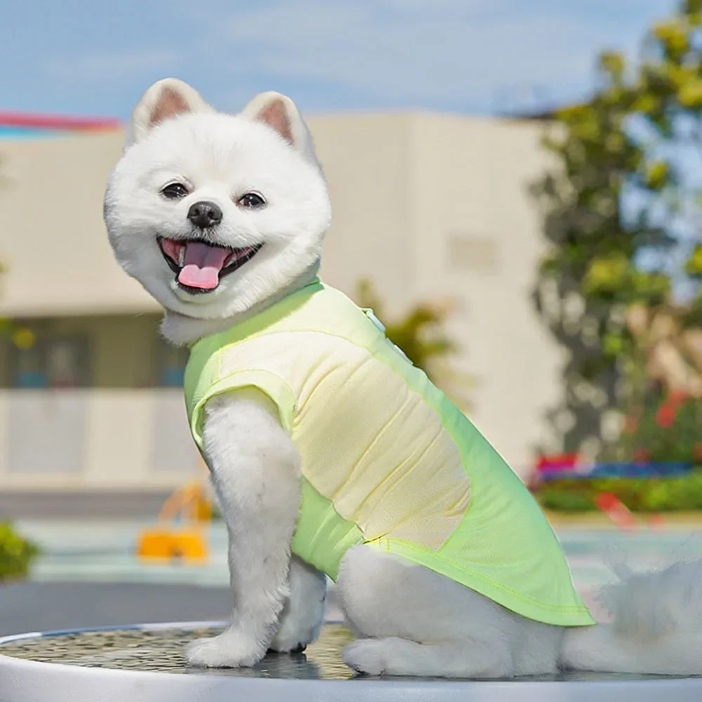 Dog Cooling Vest