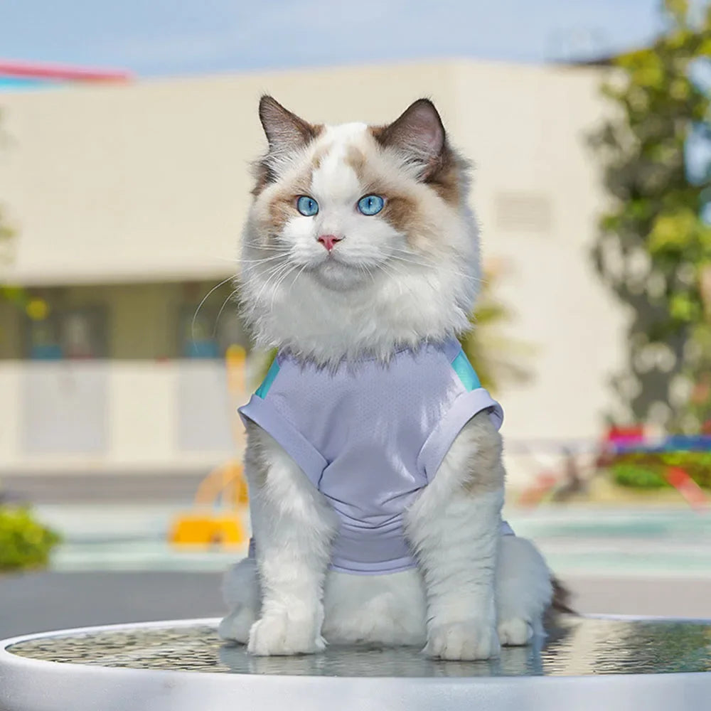 Dog Cooling Vest