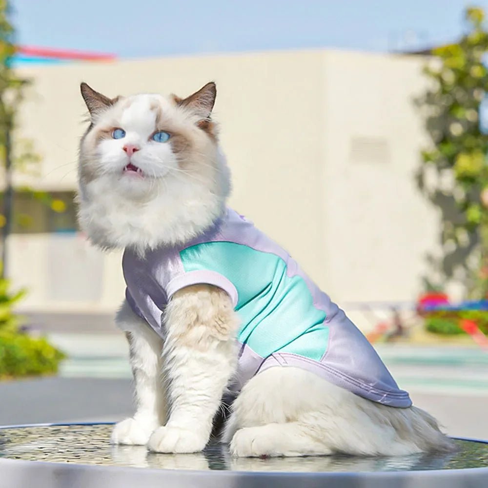 Dog Cooling Vest