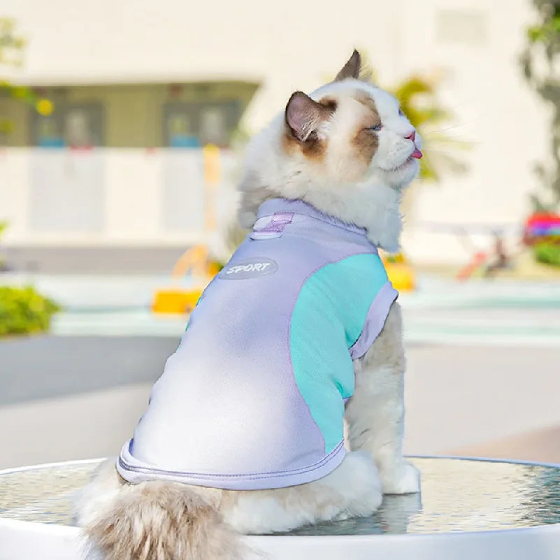Dog Cooling Vest