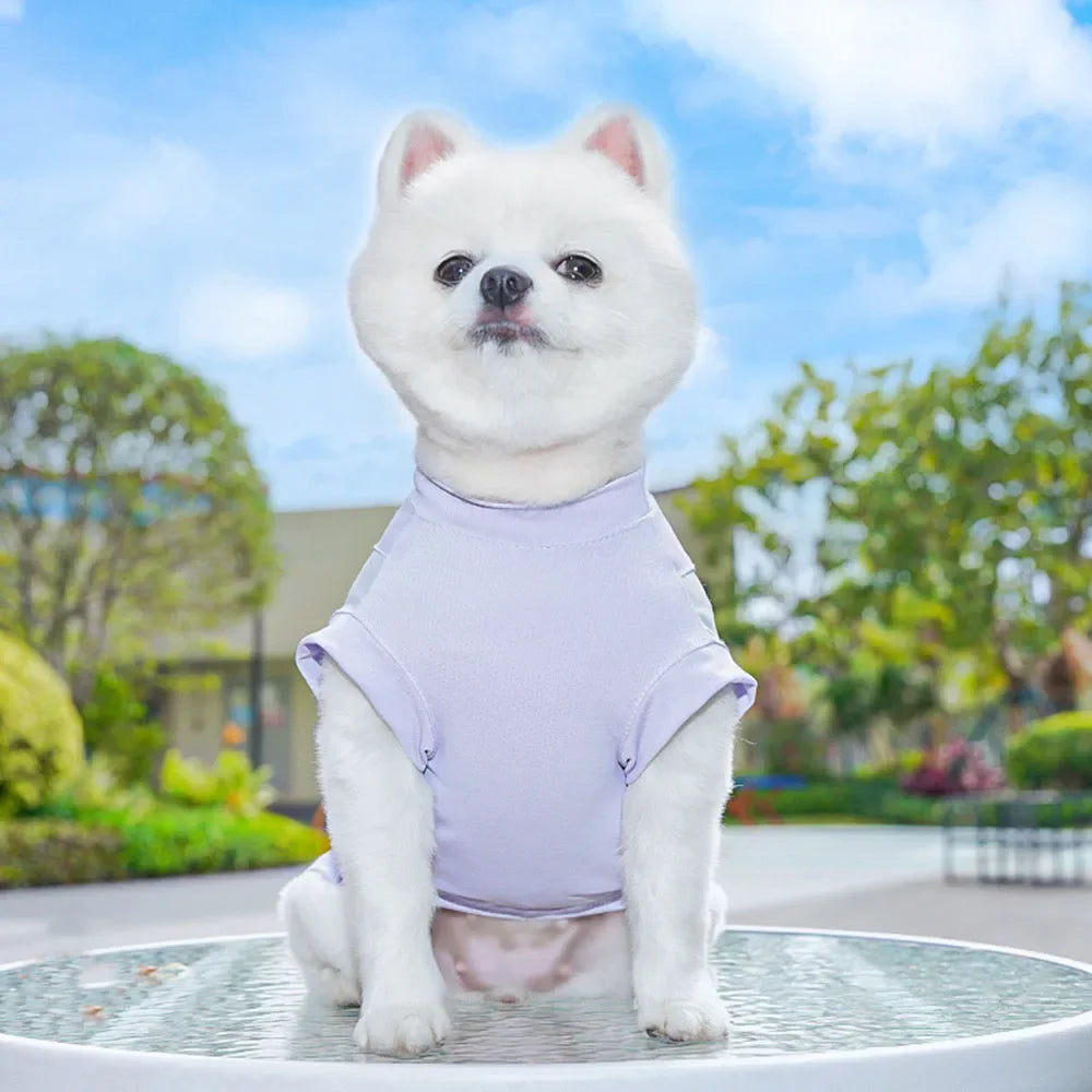 Dog Cooling Vest