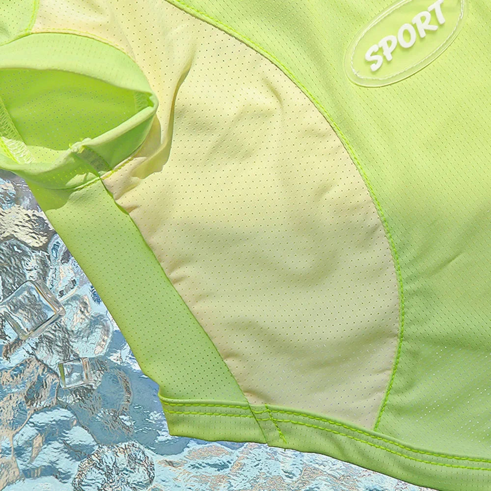 Dog Cooling Vest